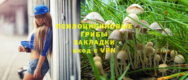 хмурый Богородицк