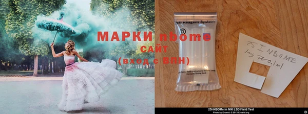 хмурый Богородицк