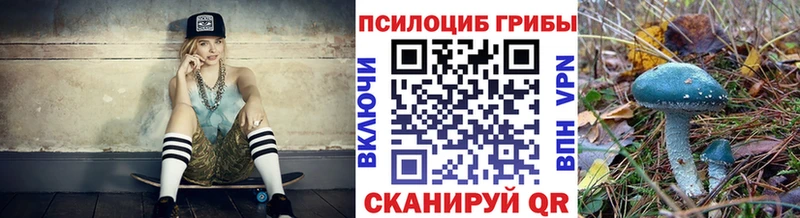 сколько стоит  Гудермес  Псилоцибиновые грибы MAGIC MUSHROOMS 