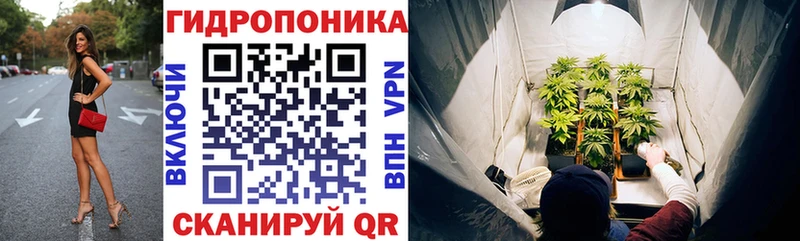 гидра как войти  Гудермес  Конопля ГИДРОПОН 